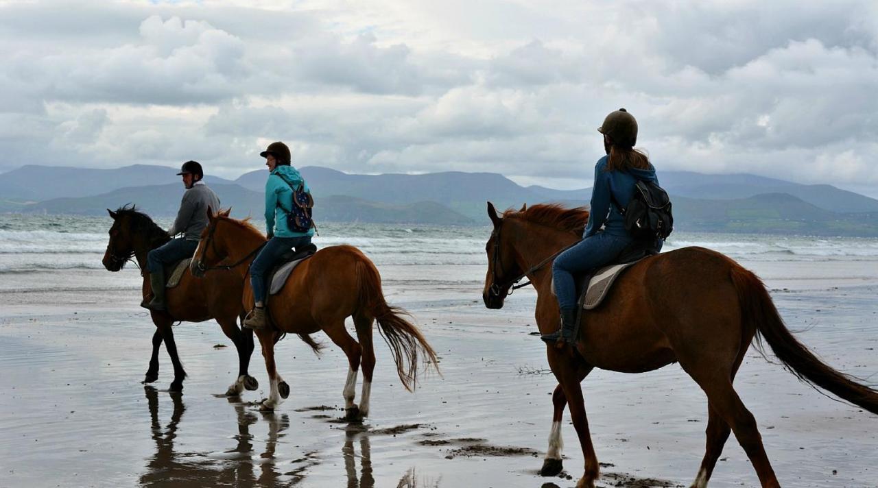 Wild Kerry Lodge Glenbeigh Εξωτερικό φωτογραφία